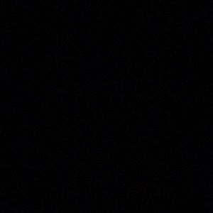 Meet your Posher, Cheyenne